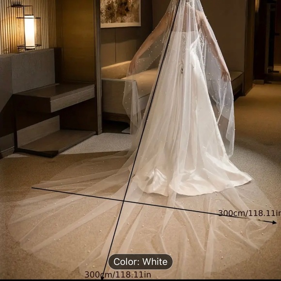 Veil - Picture 6 of 6